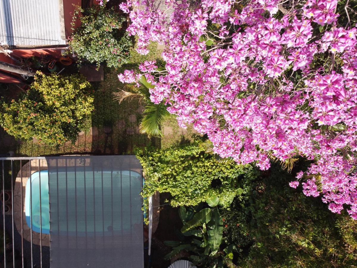 Nomada Hostel Asuncion Exterior photo
