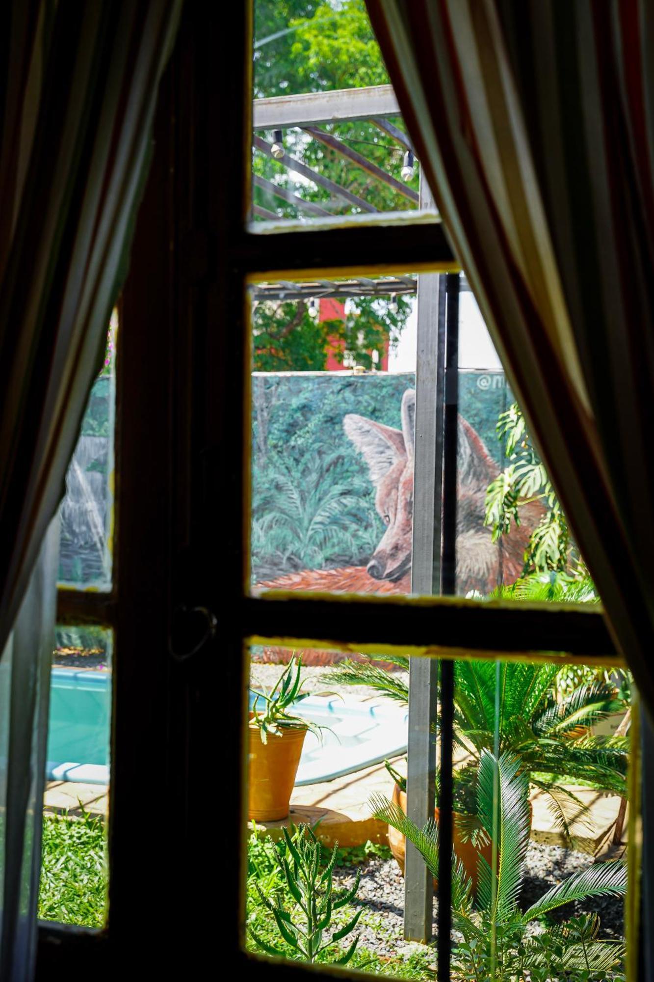 Nomada Hostel Asuncion Exterior photo